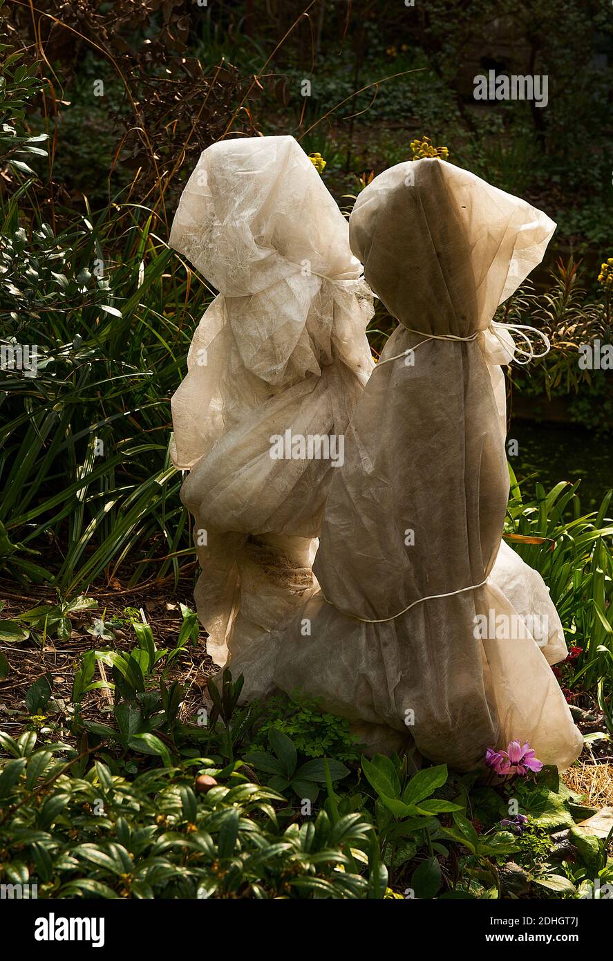 Plants Covered With Protect Covering Stock Photo Alamy