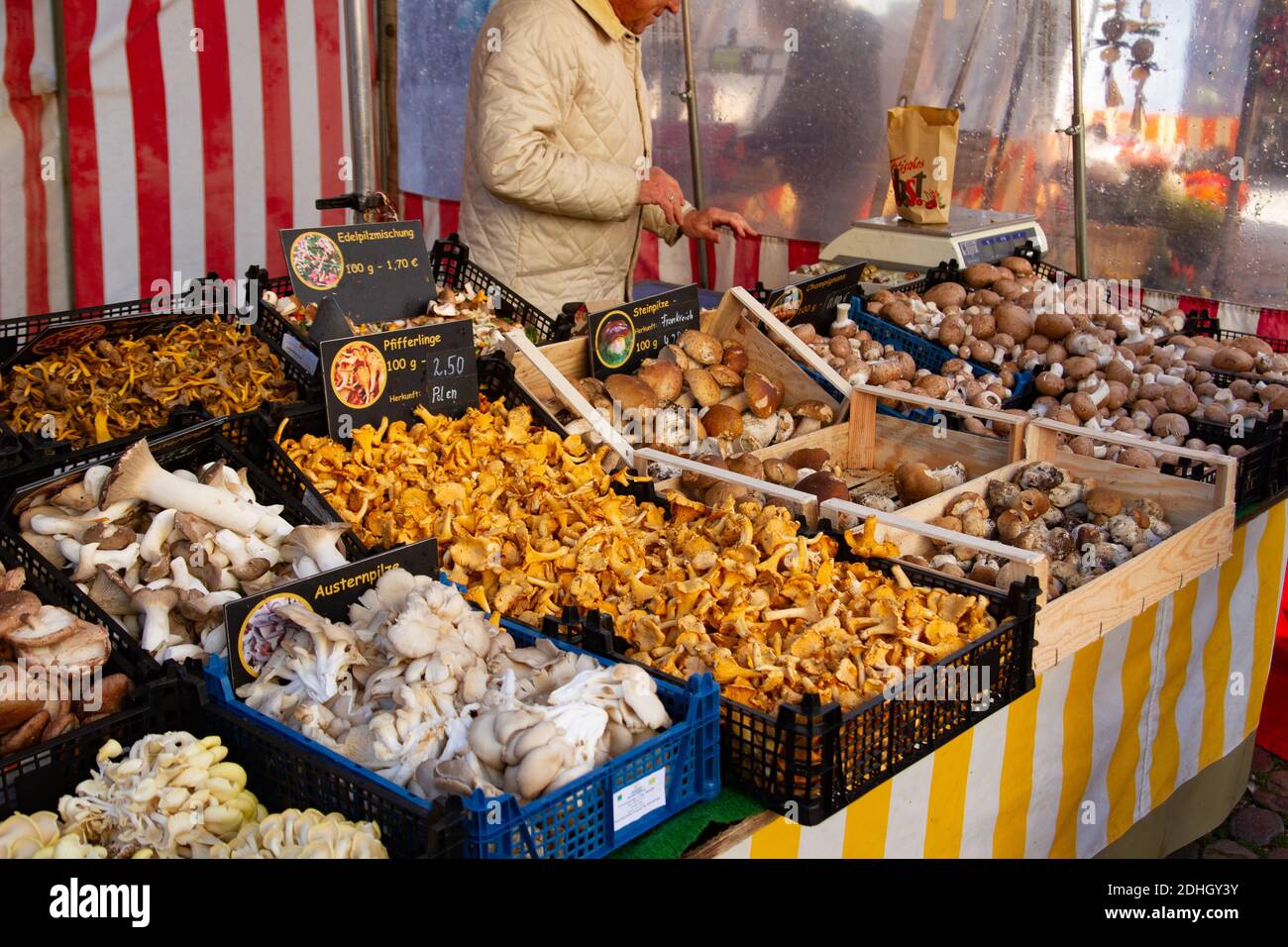 Porcini mushroom germany market hires stock photography and images Alamy