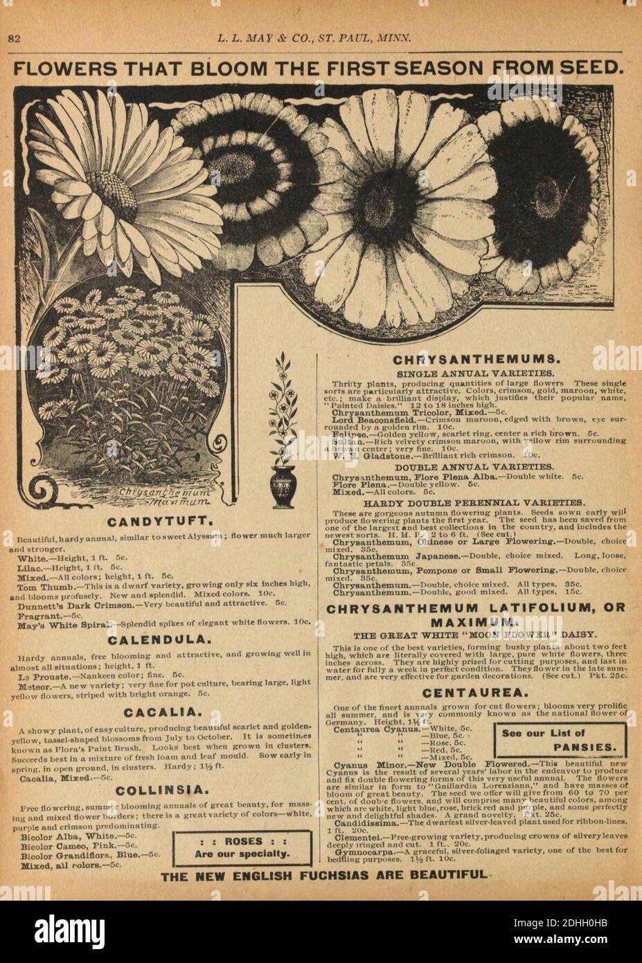 L.L. May and Co. materials (Page 82) Stock Photo