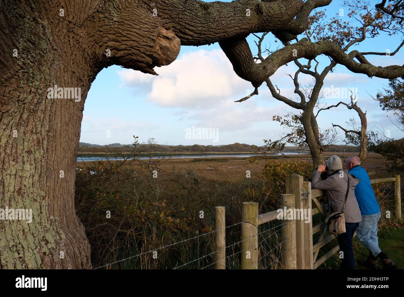 Couple leaning on wooden country gate using binoculars birdwatching Newtown Creek Nature Reserve Isle of Wight Stock Photo