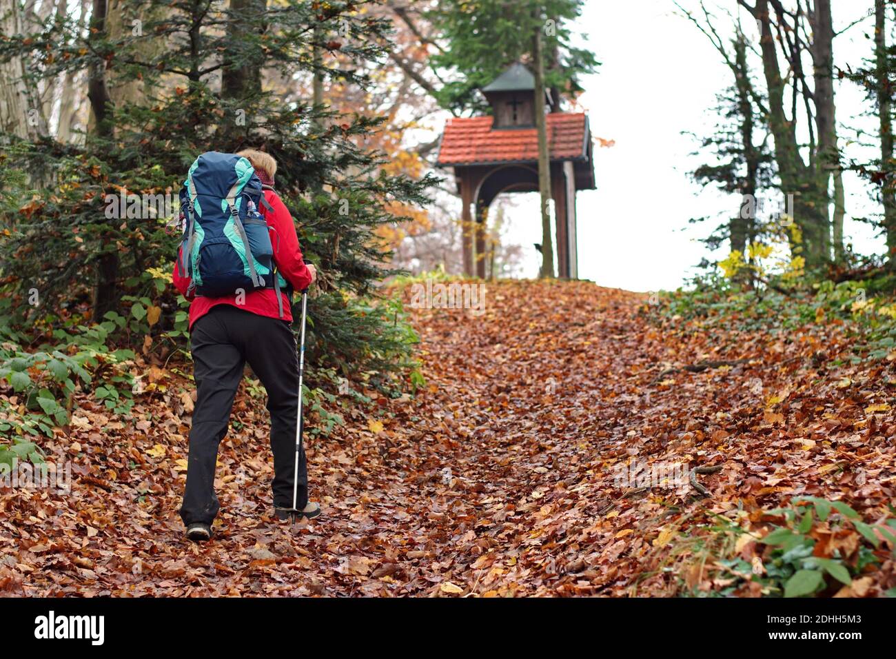 Beautiful woman hiking leaves hi-res stock photography and images - Alamy