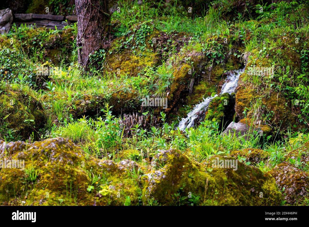 Free Images : rock, water, vacation, countryside, hill, forrest, plant,  green, natural landscape, fluvial landforms of streams, tree, watercourse,  riparian zone, groundcover, sky, mountain river, arroyo, bedrock, jungle,  creek, valley, temperate broadleaf