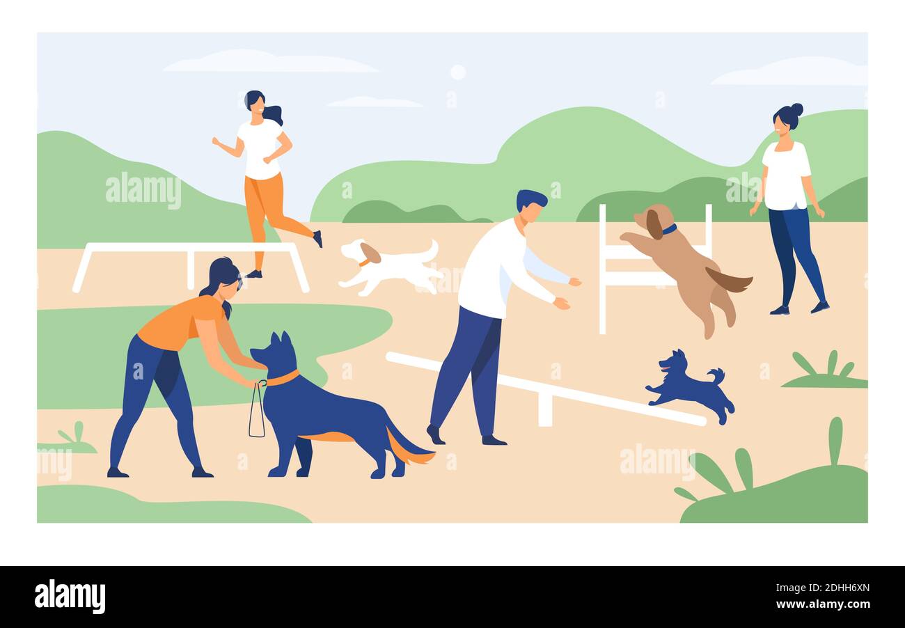 dog walking equipment