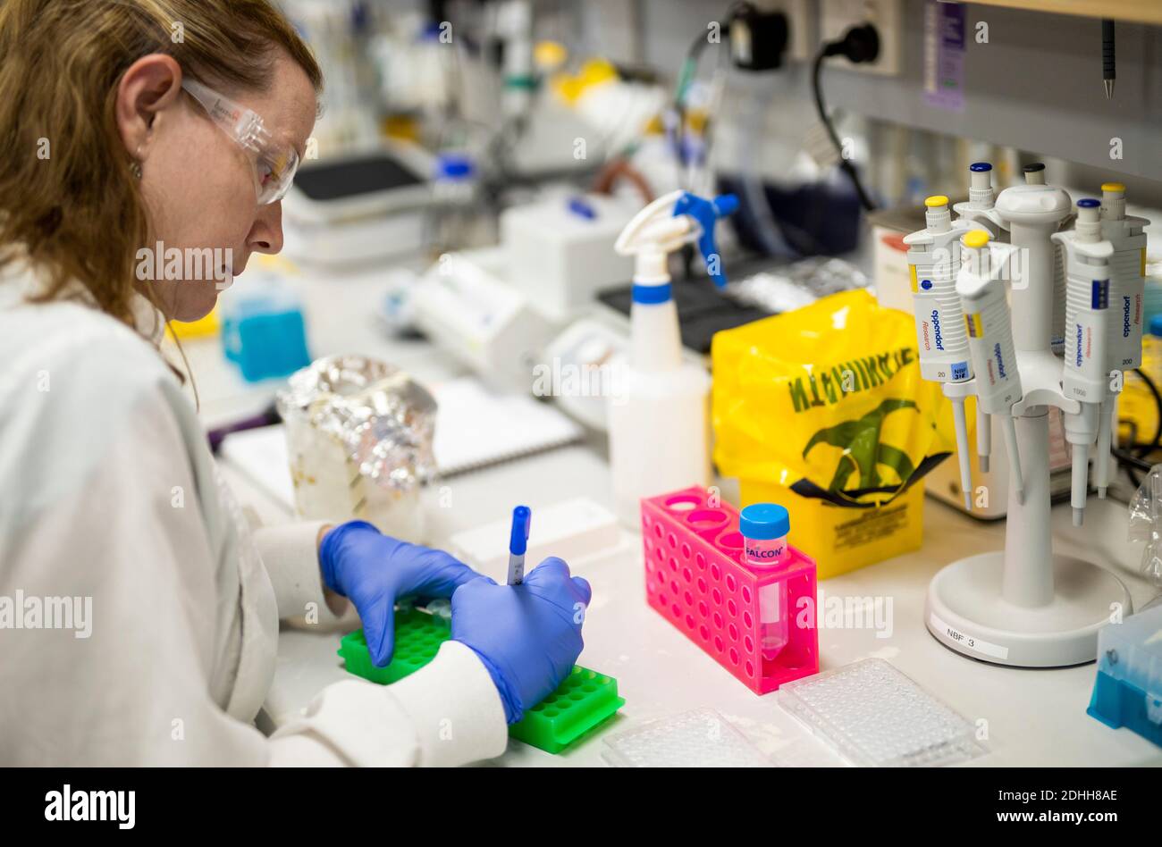 (201211) -- SYDNEY, Dec. 11, 2020 (Xinhua) -- File photo taken on April 1, 2020 shows a researcher working at a lab of the University of Queensland (UQ) in Brisbane, Australia. An Australian COVID-19 vaccine under development by the University of Queensland (UQ) and local biotech firm CSL will not progress to Phase 2/3 trials after returning false positive HIV test results. (University of Queensland/Handout via Xinhua) Stock Photo