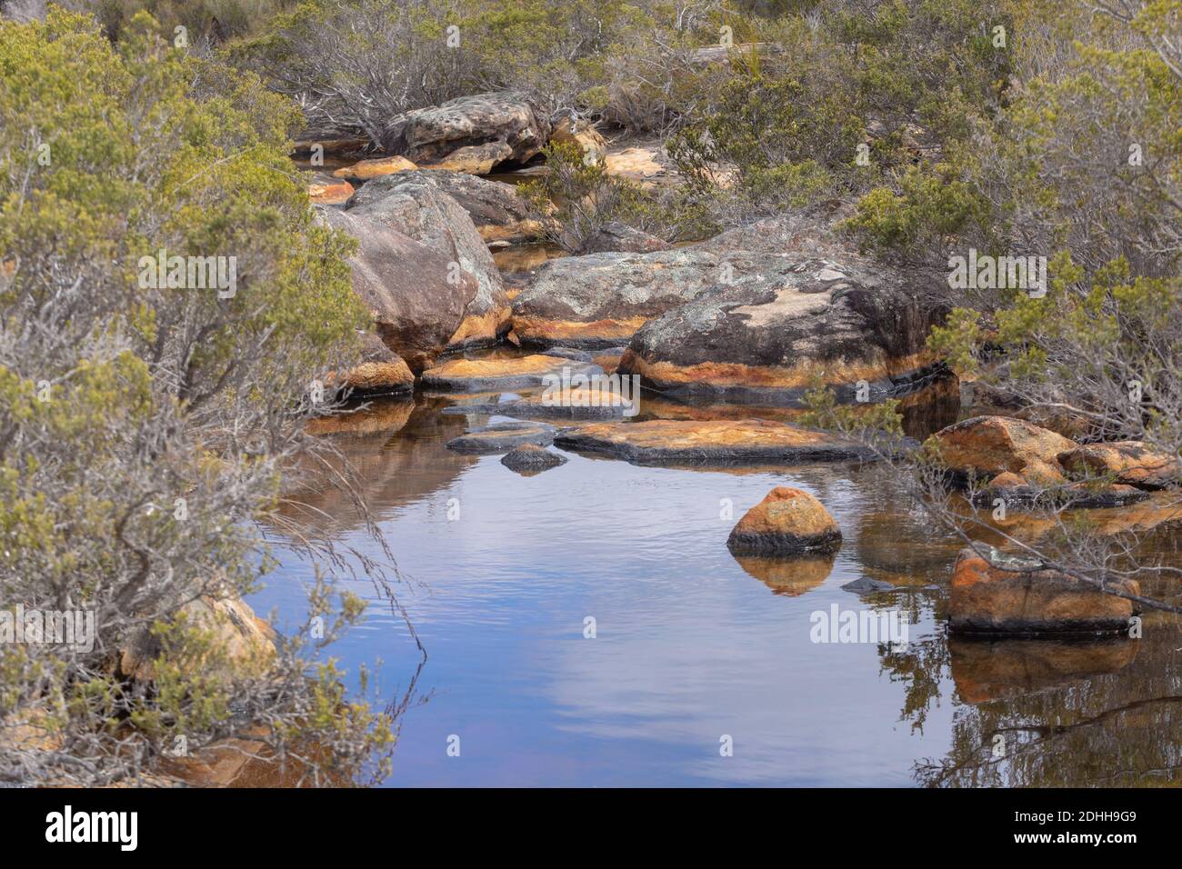 little River in the Fitzgerald River Nationalpark west of Hopetoun in Western Australia Stock little River in the Fitzgerald River Nationalpark west of Hopetoun in Western Australia Stock
