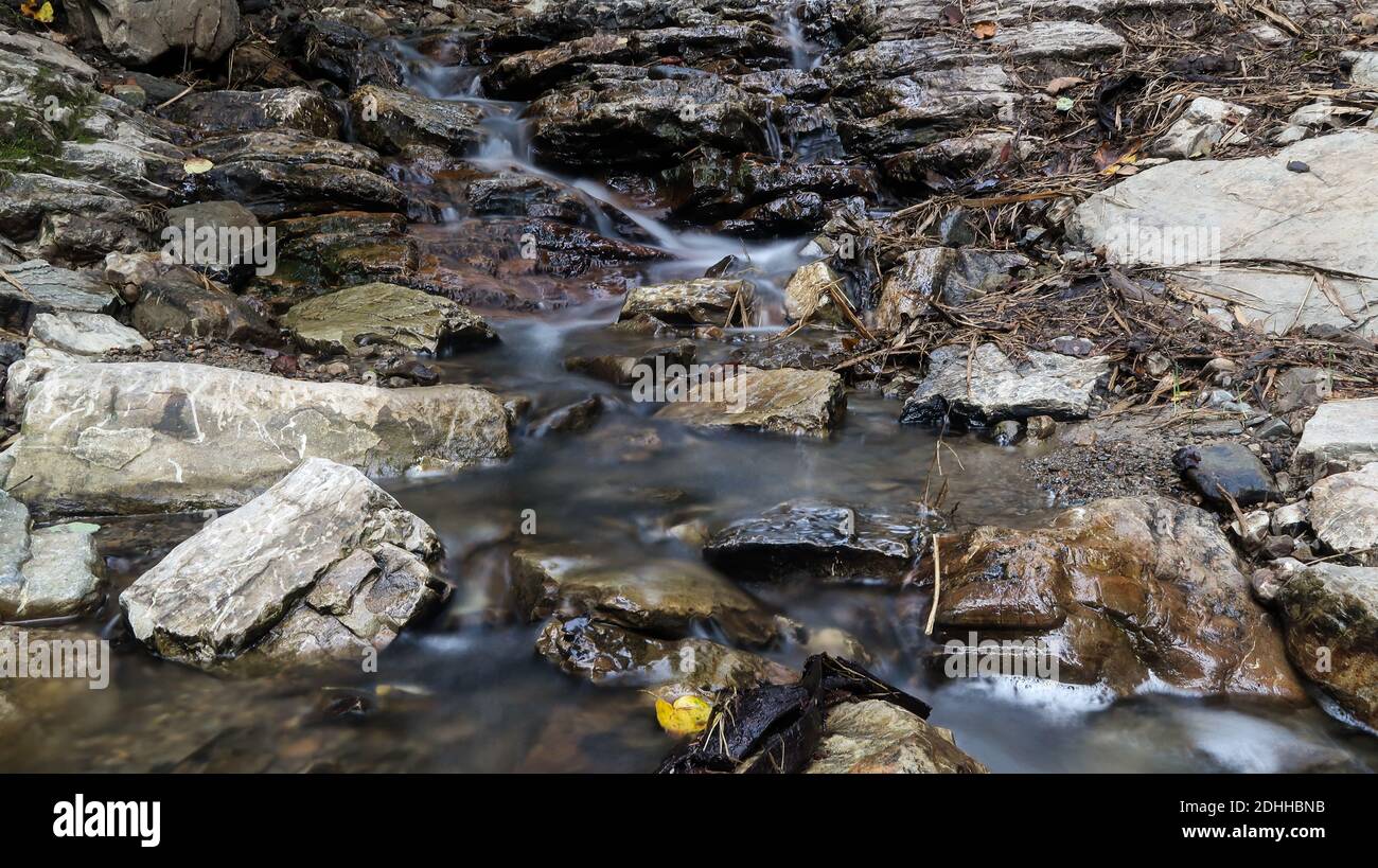 Blue jay in nature reserve hi-res stock photography and images - Alamy