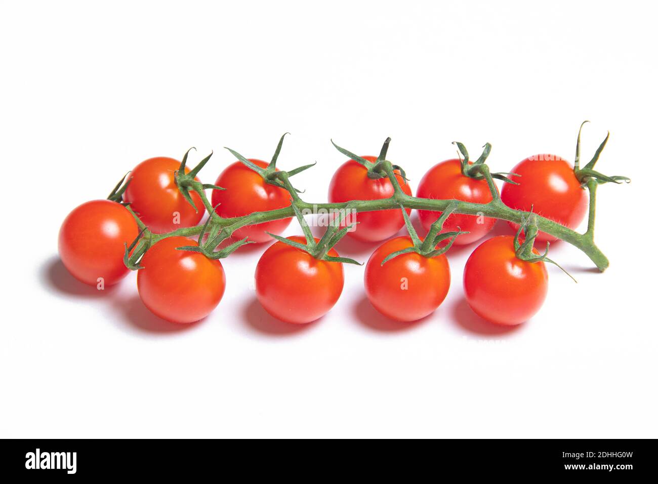 Cherry tomatoes branch isolated on white background . Red tomato ...