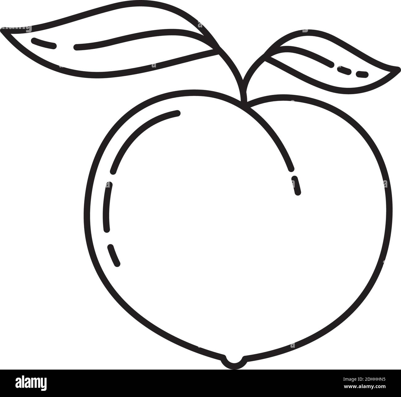 Peach fruit with leaves vector line icon for Eat A Peach Day on August 22. Healthy fruit outline