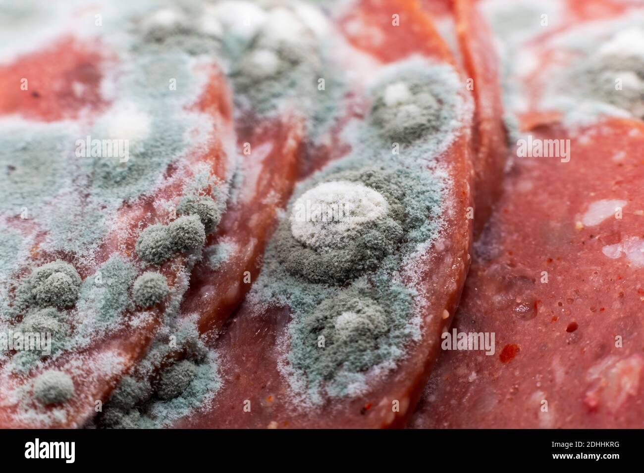 Pieces of sliced meat decaying with mold and fungus growth Stock Photo