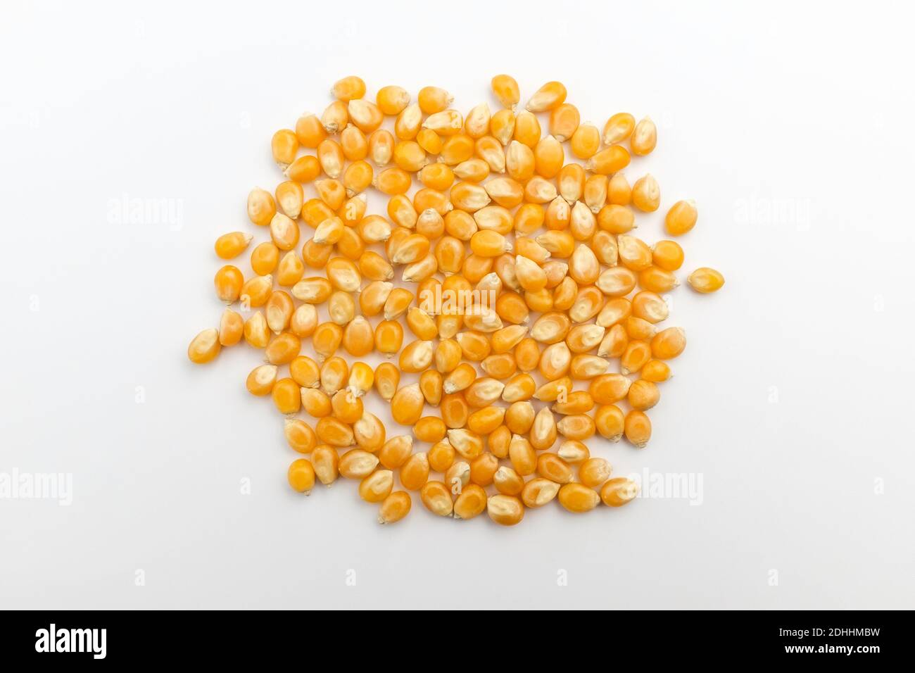 Corn to make popcorn. Hard corn. Yellow plants Stock Photo Alamy