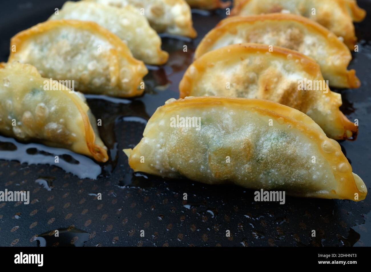 Frozen food. Gyoza dumpling with pork and vegetables. Dish fried with