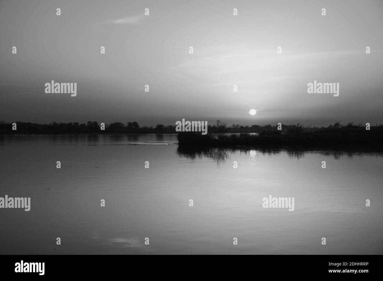 A beautiful grayscale sunset scenery over the lake with silhouetted grass Stock Photo