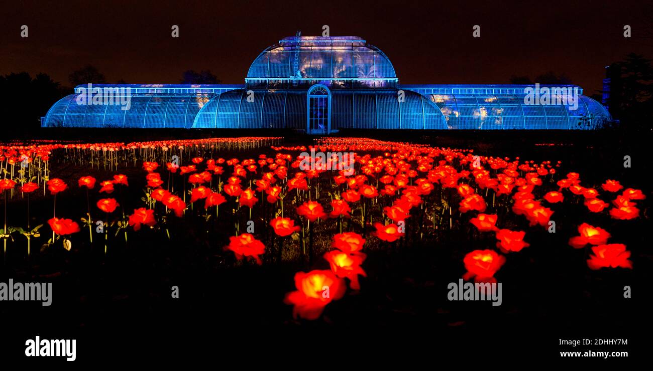 Kew gardens christmas deals