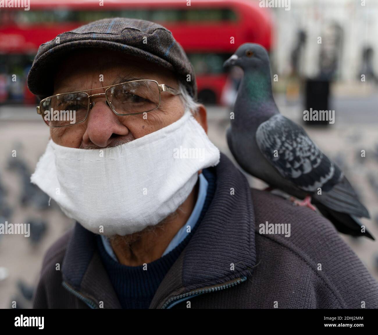 Man With Pigeon on Shoulder Stock Photo