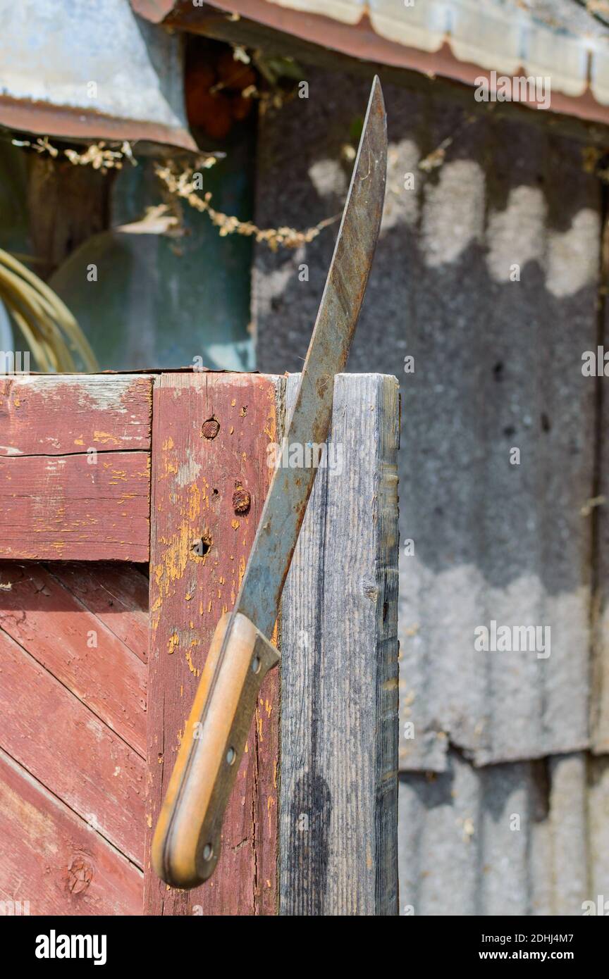 Big old rusty machete stuck in the wooden construction for safety Stock