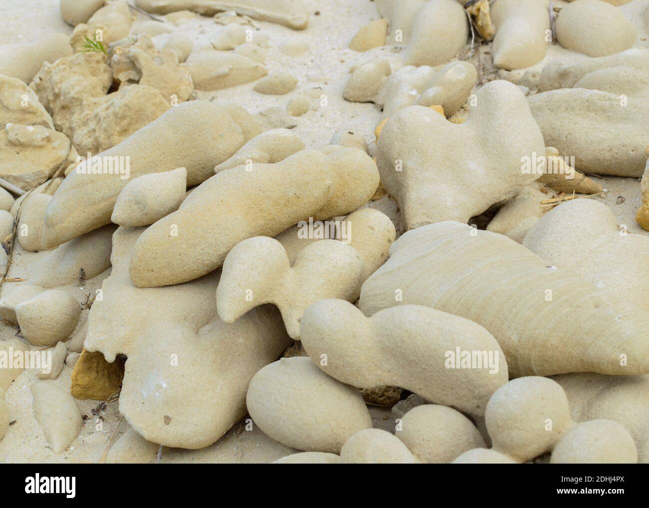 Sand and limestone mineral rocks like as big eggs bizarre forms on the