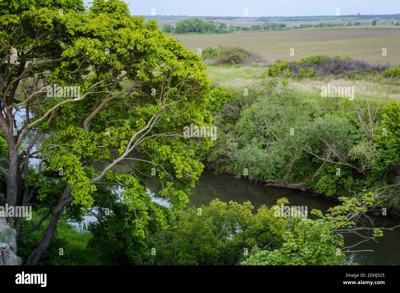 Summer landscape with tree and small river in Rostov region. Russia ...