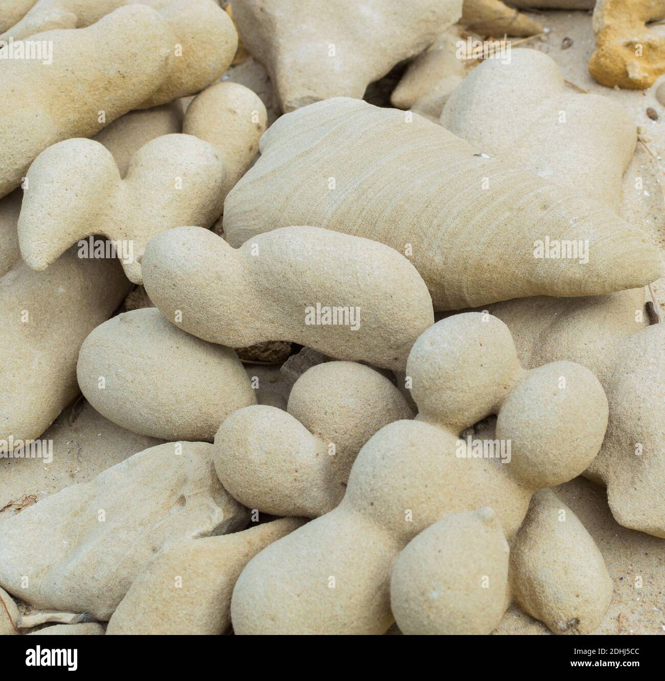 Sand and limestone mineral rocks like as big eggs bizarre forms on the