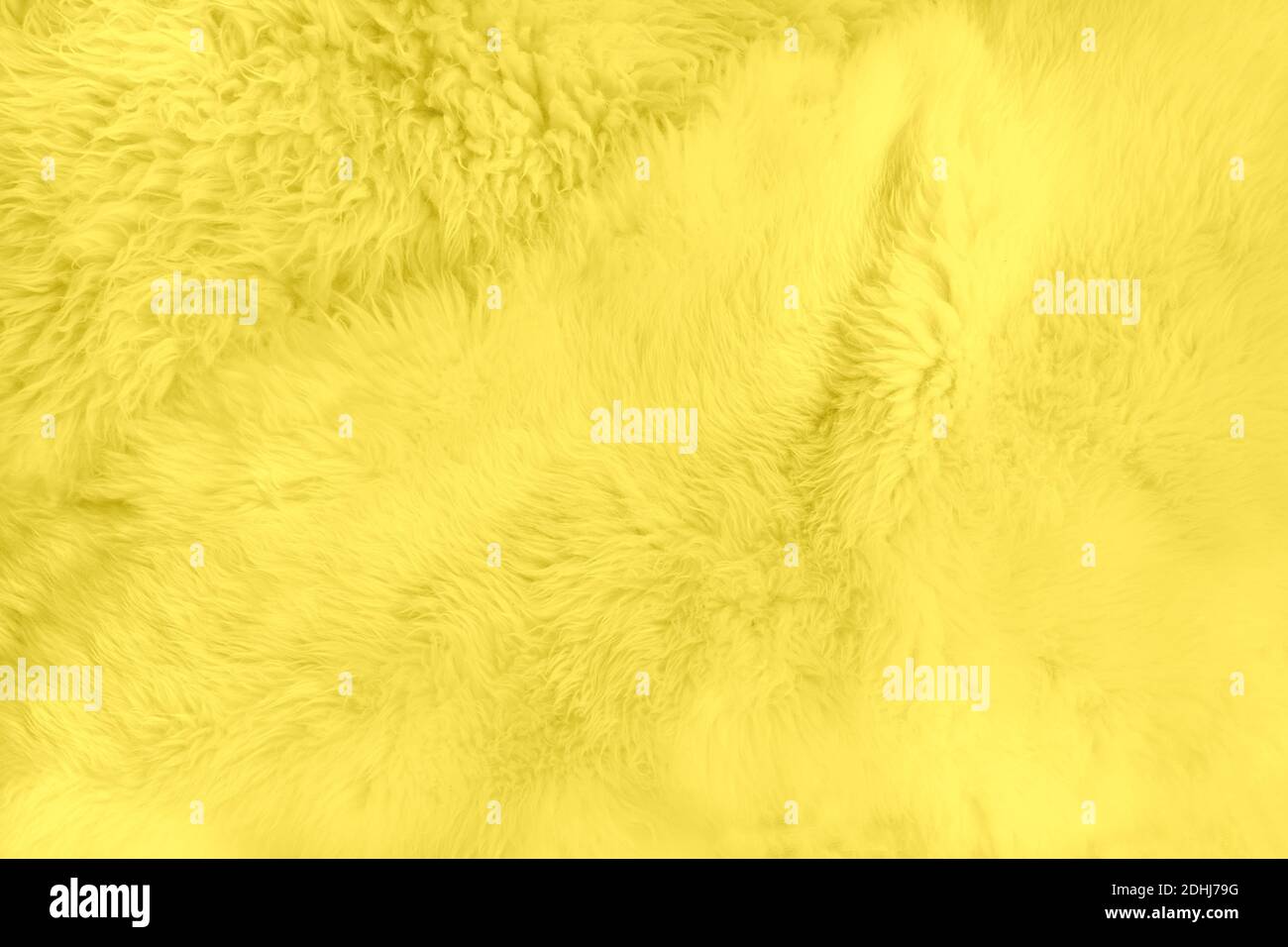 Yellow soft natural fur background in trendy illuminating color of the