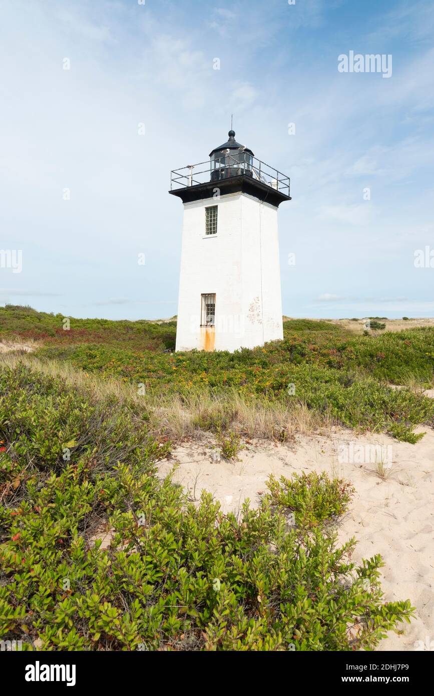 A vertical view of the Wood End lighthouse and grasses along the