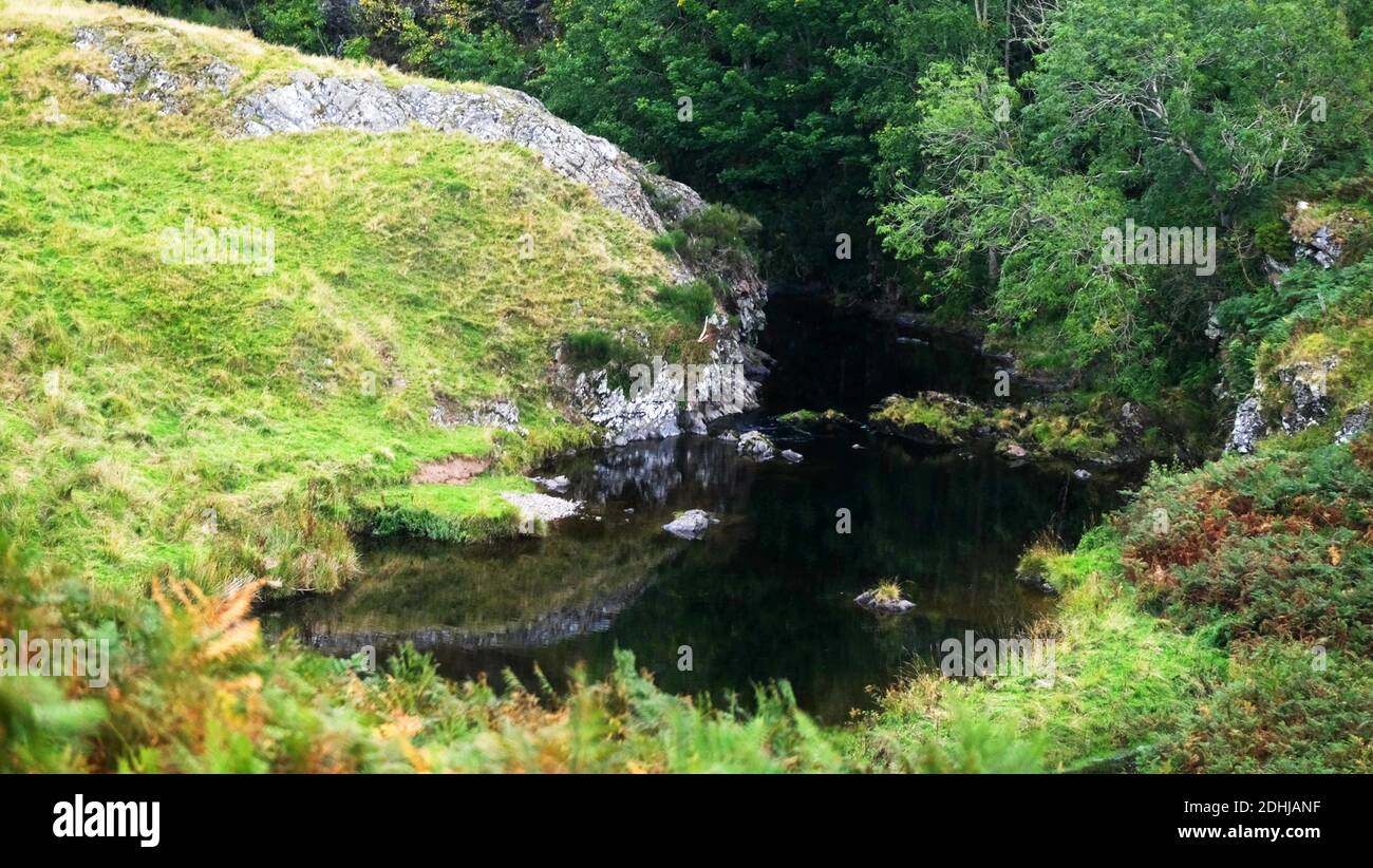 The River Coquet runs through a deep gorge at Shillmoor.Saturday 3rd October 2020. Stock Photo