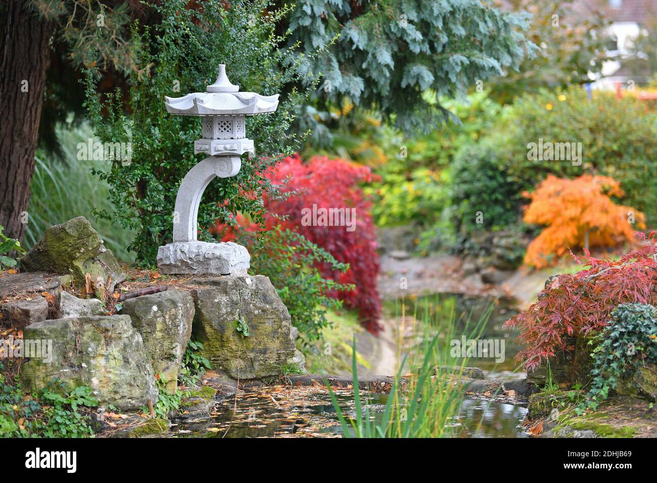 Feature on Stoke Park, Guildford - Autumnal colours, as work continues to restore and improve the oriental gardens. Guildford, Surrey. Picture taken 20th October 2020 Stock Photo