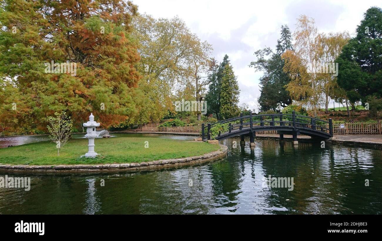 Feature on Stoke Park, Guildford - Autumnal colours, as work continues to restore and improve the oriental gardens. Guildford, Surrey. Picture taken 20th October 2020 Stock Photo