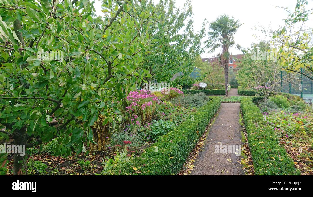 Feature on Stoke Park, Guildford - Autumnal colours, as work continues to restore and improve the oriental gardens. Guildford, Surrey. Picture taken 20th October 2020 Stock Photo