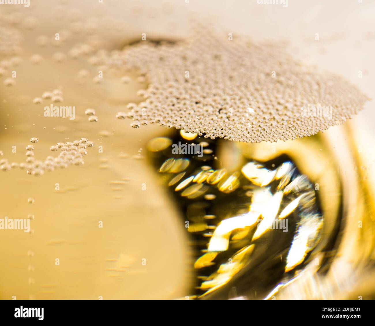 Many tiny bubbles on top of a glass of champagne - cut out Stock Photo