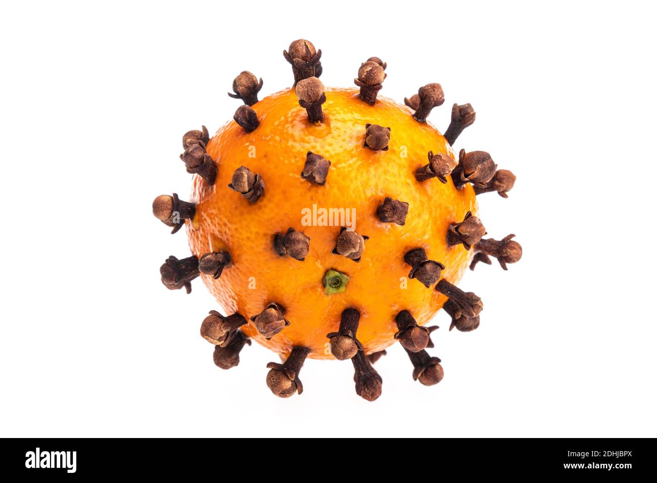 A satsuma srtuck with cloves for Christmas 2020 mulled wine - or as a tree ornament likely to go soggy very quickly. Clovid-19... Stock Photo