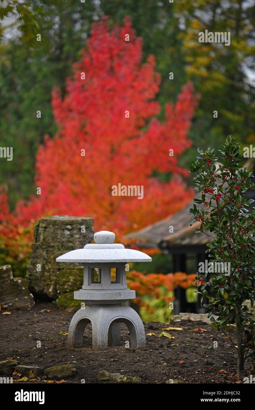 Feature on Stoke Park, Guildford - Autumnal colours, as work continues to restore and improve the oriental gardens.     Guildford, Surrey.  Picture taken 20th October 2020 Stock Photo