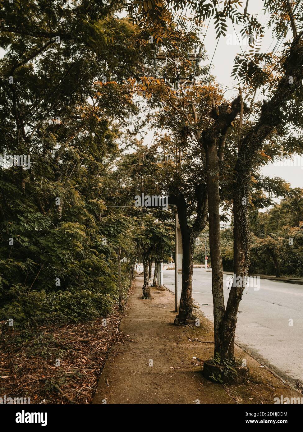 Vertical shot road hi-res stock photography and images - Alamy