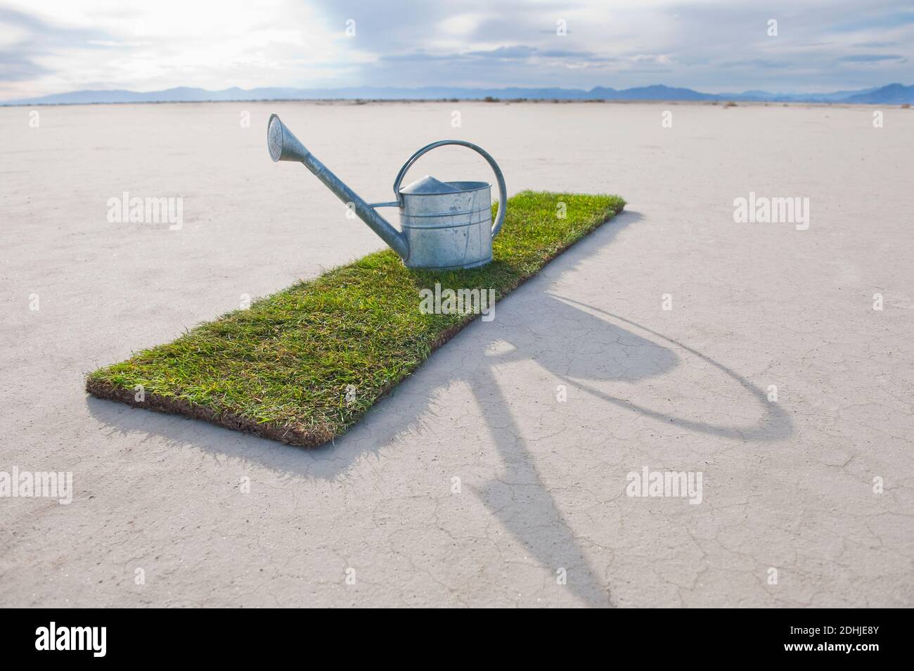 Salt Patch Salt patch hi-res stock photography and images - Alamy