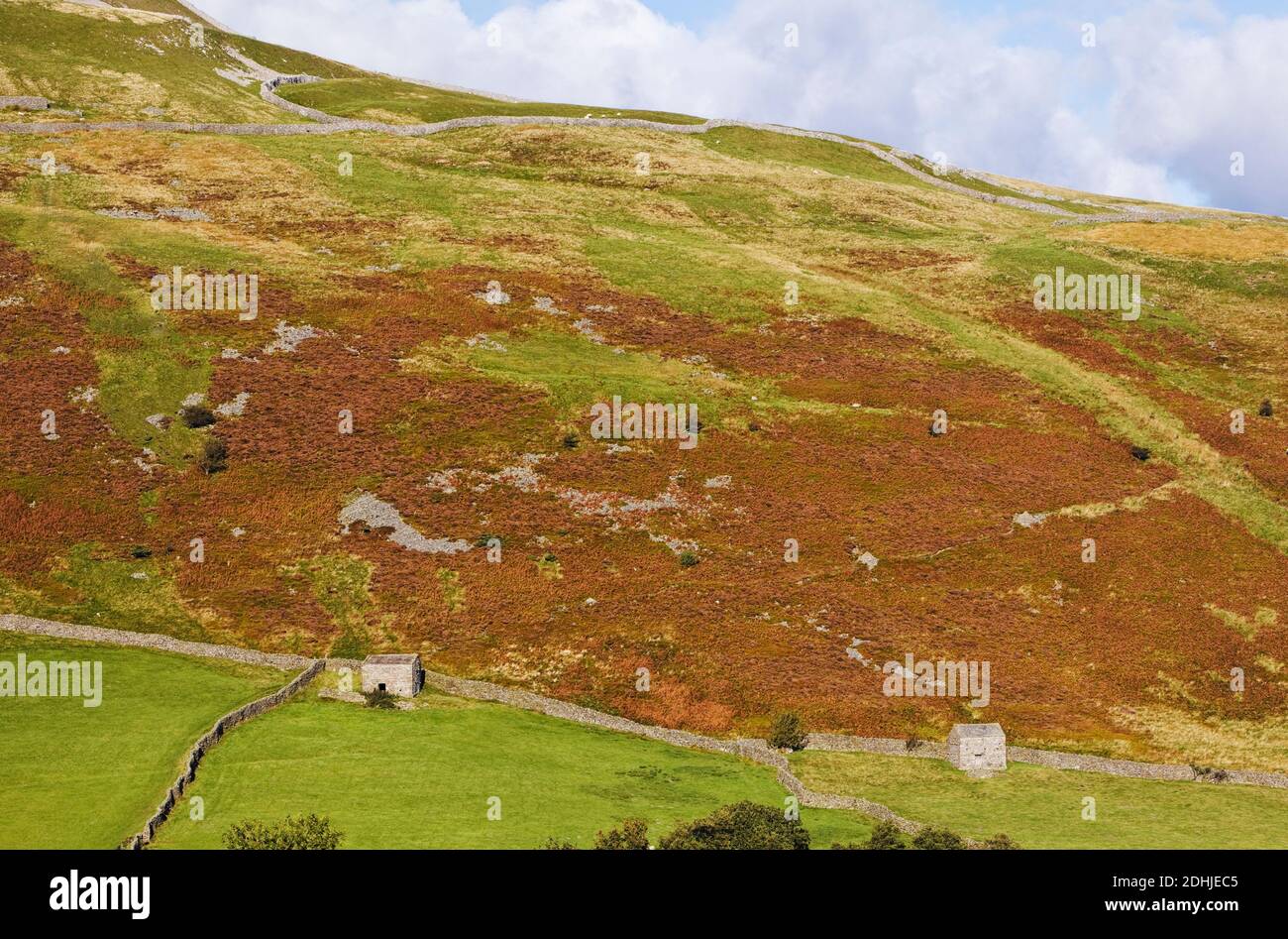 Stone huts in heathery rural landscape. Stock Photo