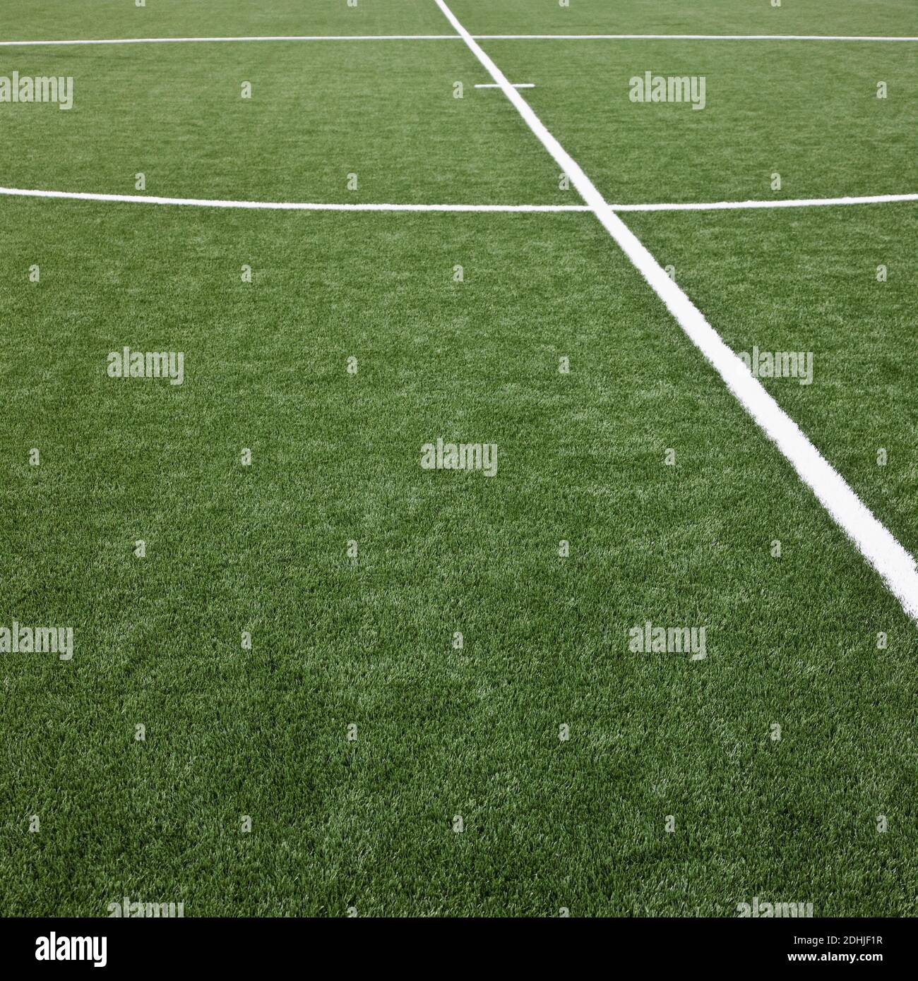 Soccer field with markings Stock Photo Alamy