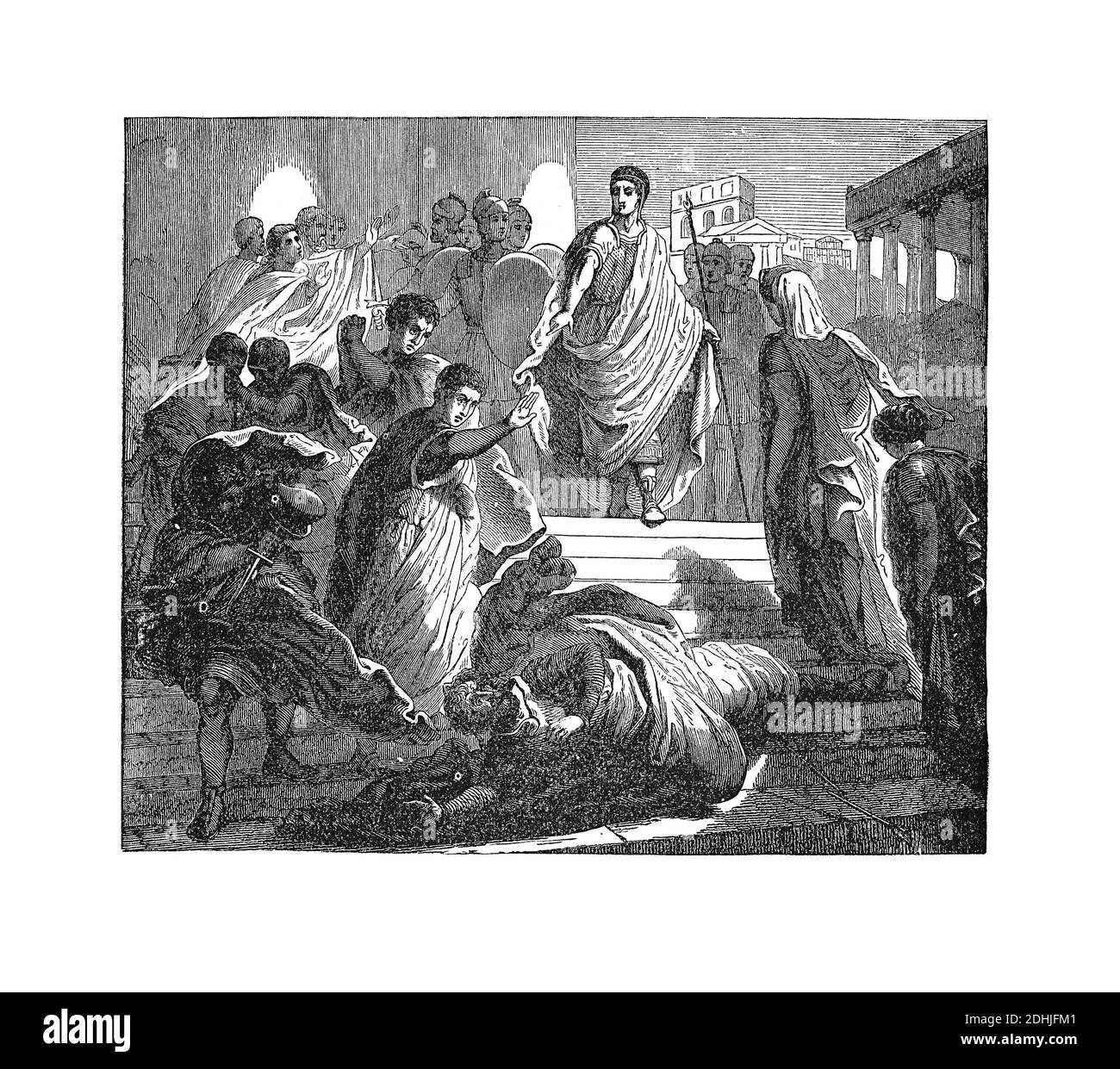 Tarquin Cut Out Stock Images & Pictures Alamy