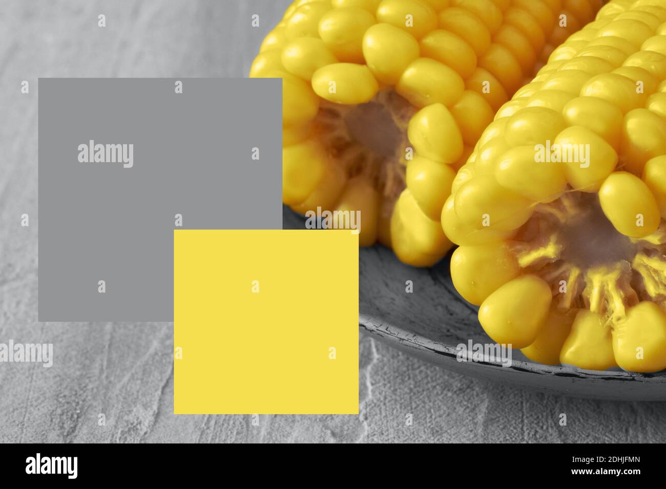 Boiled corn on the cob. Color swatches with Illuminating Yellow ...