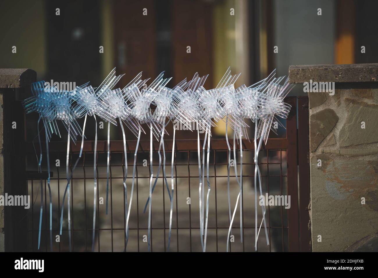 Small Ribbon Shot Small ribbons hi-res stock photography and images - Alamy