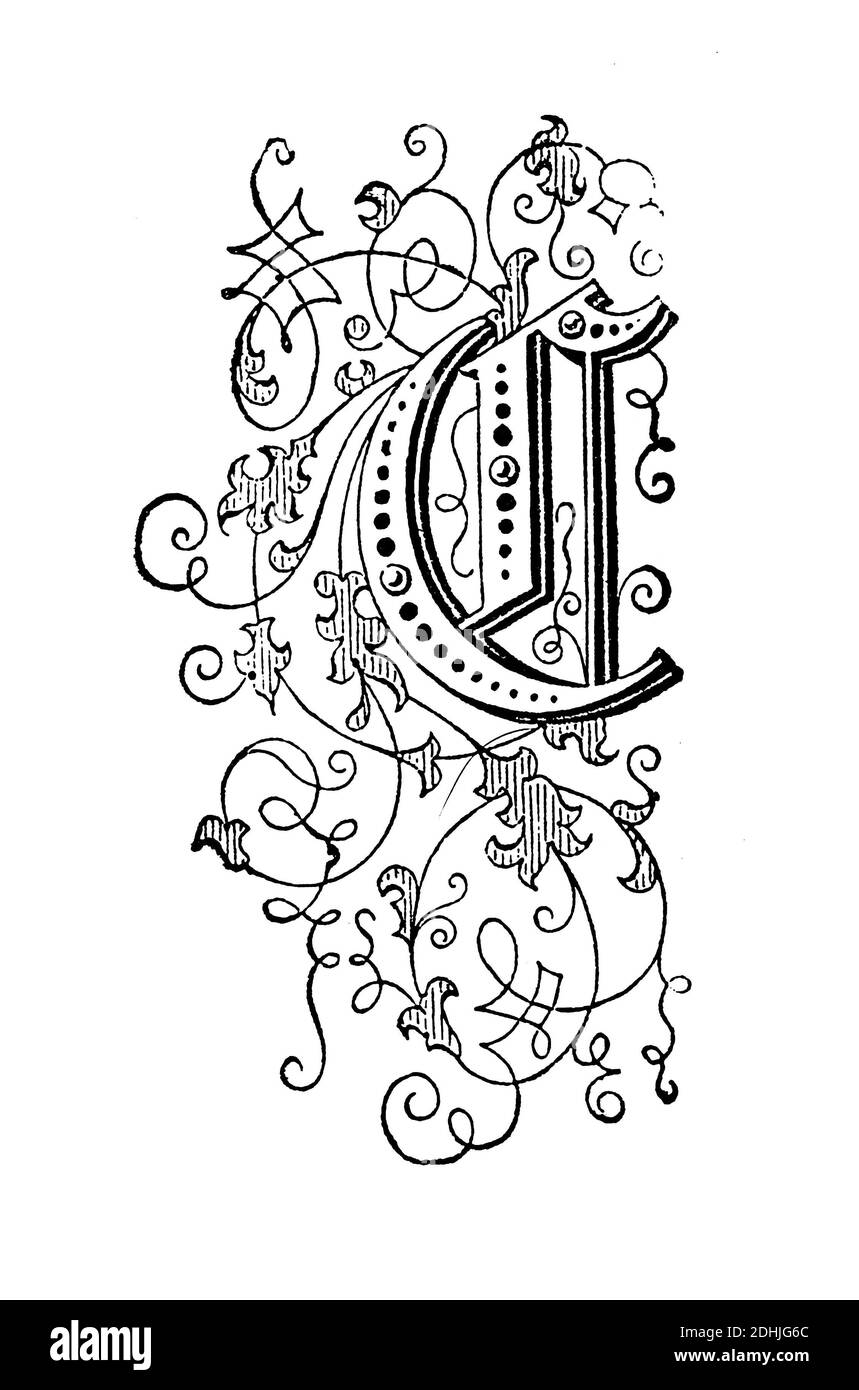 the letter c in fancy writing