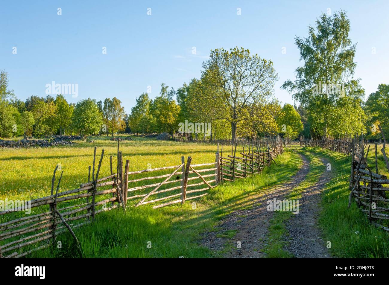 A small winding cattle path and field fences in a culture landscape, Östergötland, Sweden Stock Photo