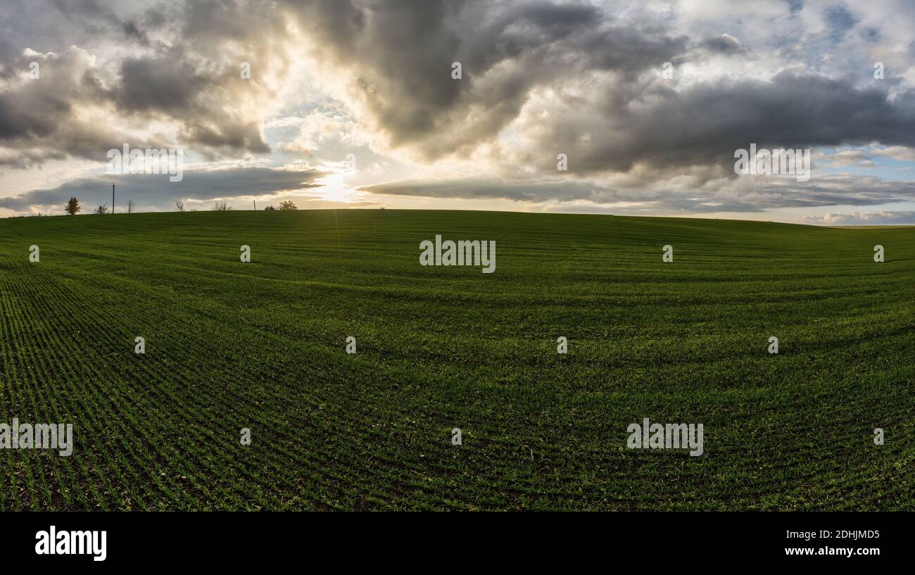 Flying above wheat field sunset hi-res stock photography and images - Alamy