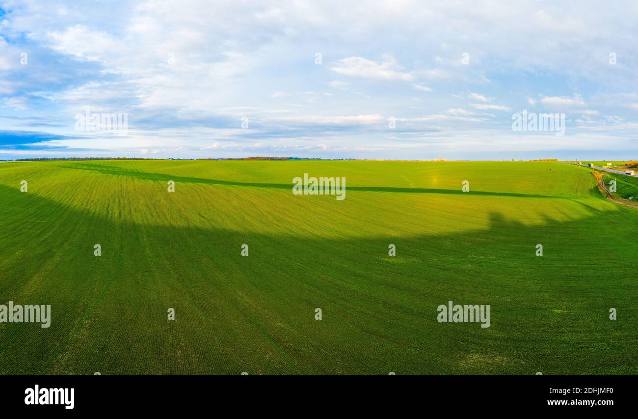 Aerial shot large wheat field hi-res stock photography and images - Alamy