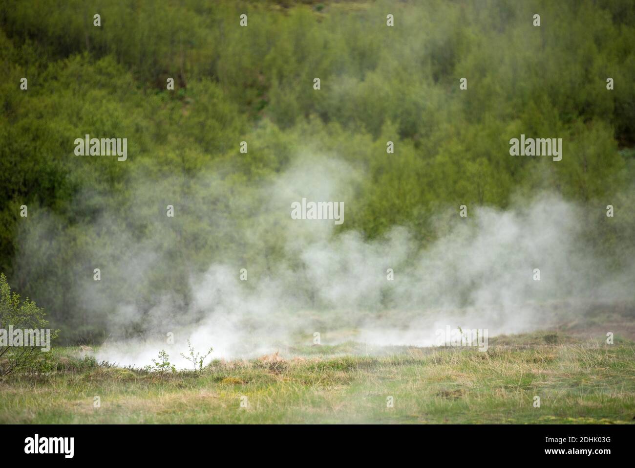 Geothermal active zone in Hveragerdi, Iceland with volcanic hot spring, fumarola Stock Photo