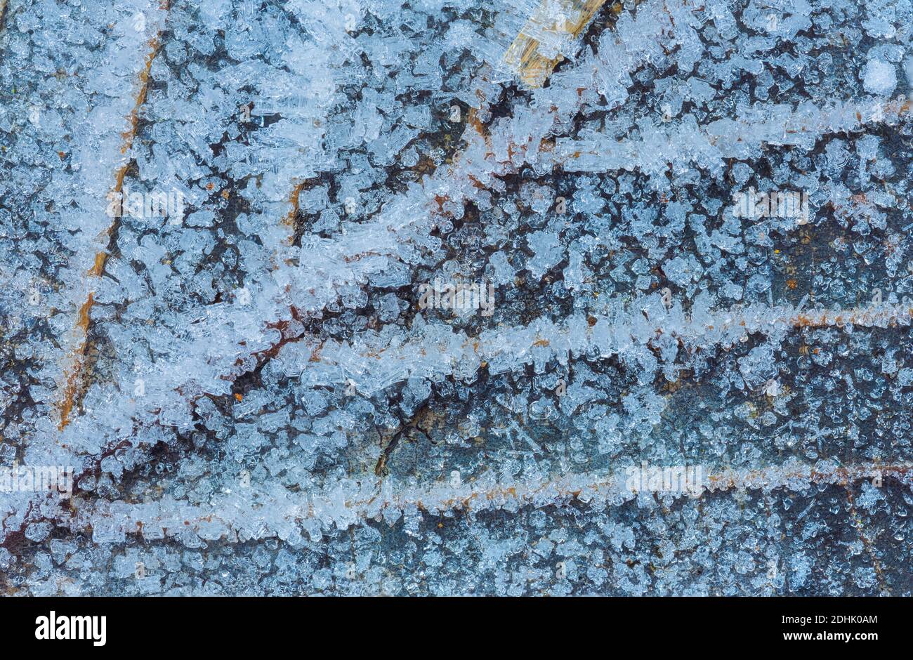 Frozen leaf with ice crystals, winter background Stock Photo
