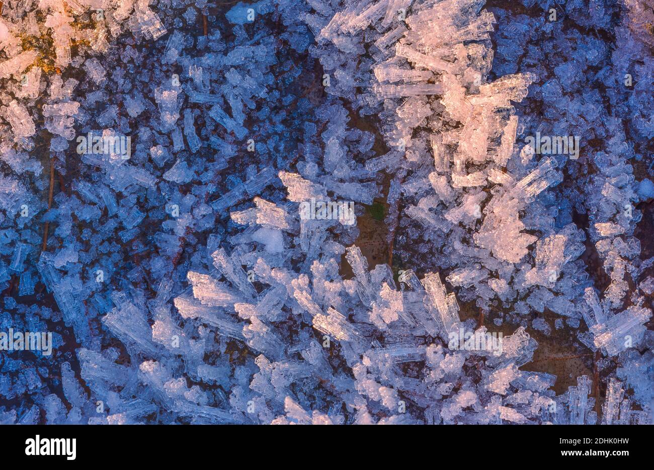 Frozen leaf with ice crystals, winter background Stock Photo