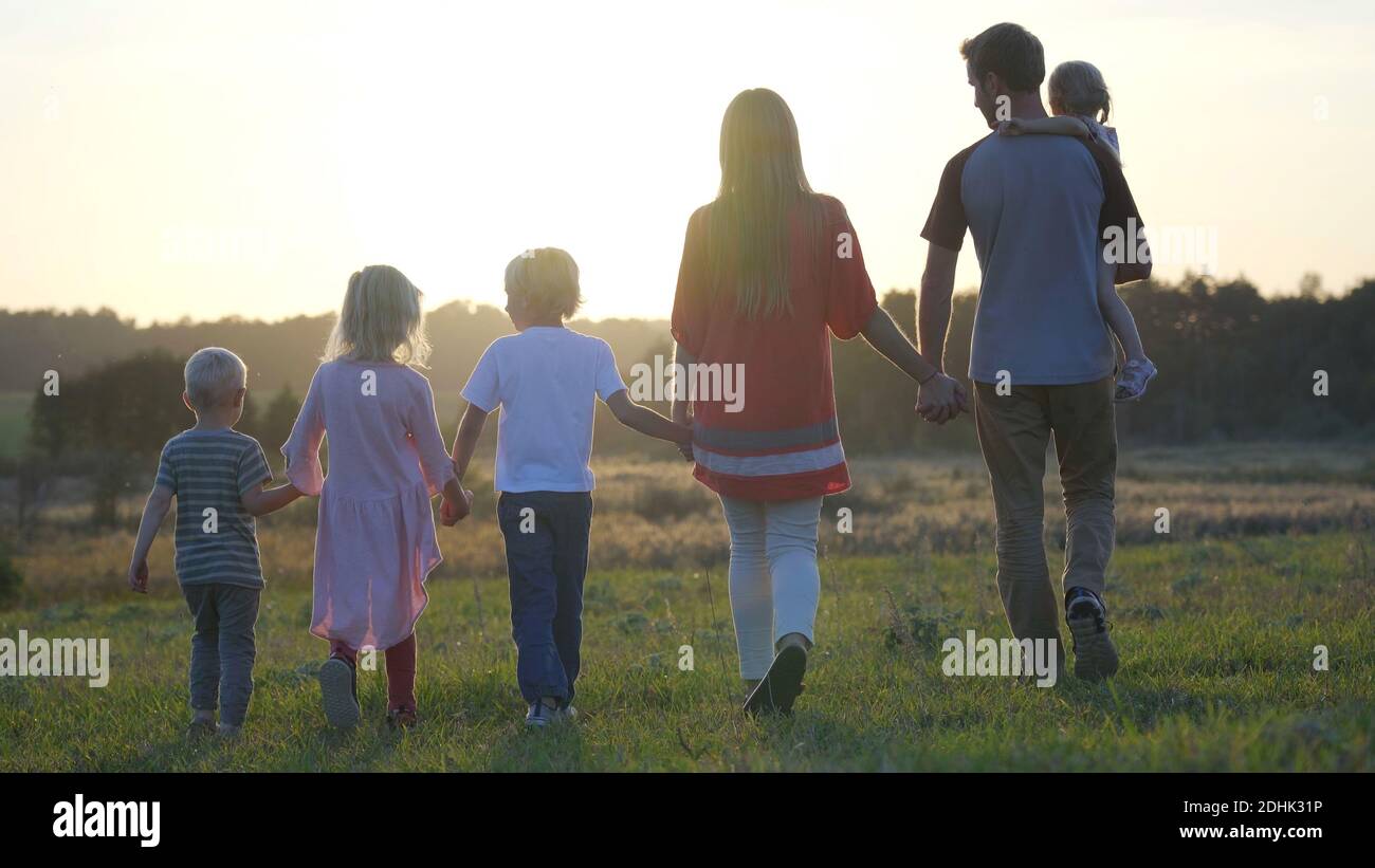 A large friendly family walks across the field at sunset with dogs ...