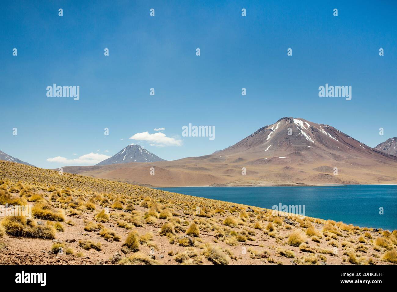 Volcano Miscanti rises above the  bright blue waters of Laguna Miscanti San Pedro de Atacama, Andes, Chile Stock Photo