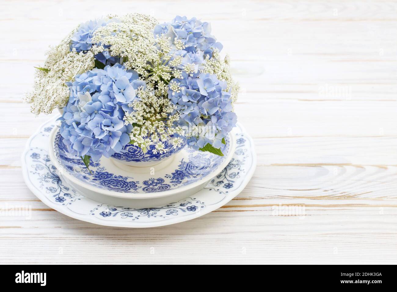 Floral arrangement with blue hortensia (hydrangea) and white Queen Anne's lace (daucus carota) flowers on white wooden table, copy space. Stock Photo