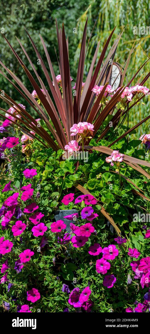 arrangement with flourishing plants in an ornamental garden at summer