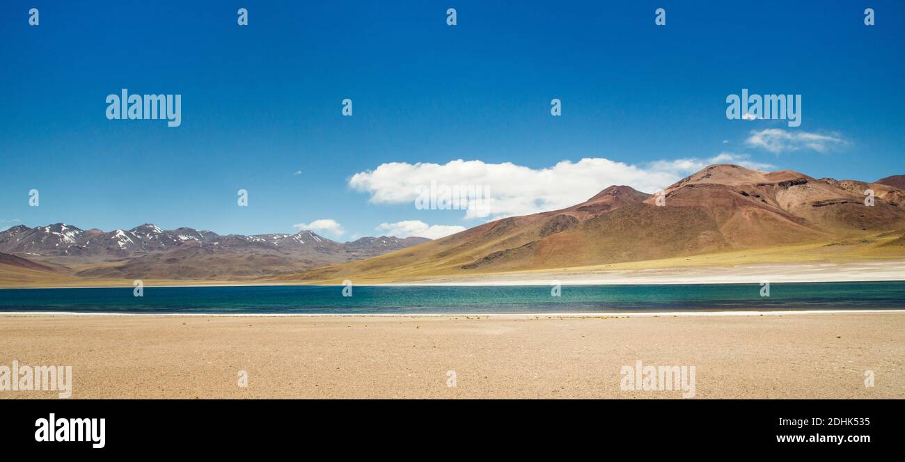 Volcano Miniques rises above the  bright blue waters of Laguna Miscanti San Pedro de Atacama, Andes, Chile Stock Photo